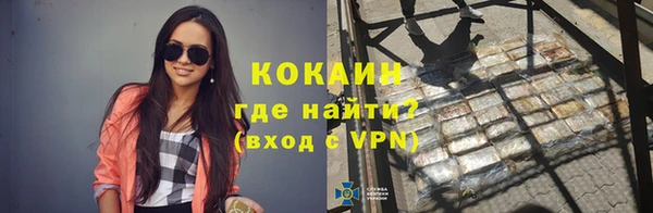 шишки Лабытнанги
