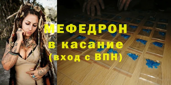 стаф Алексин