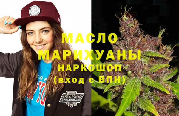 шишки Лабытнанги
