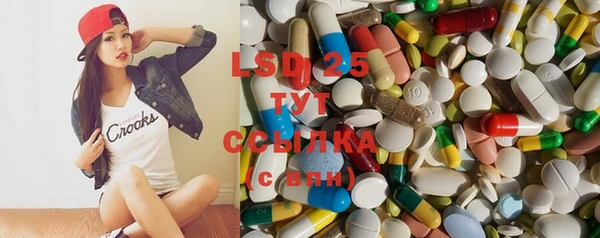 стаф Алексин