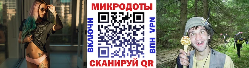 Псилоцибиновые грибы Psilocybe  Пошехонье 