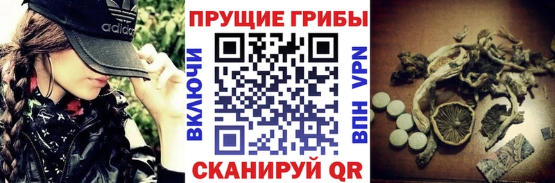 Галлюциногенные грибы прущие грибы Пошехонье