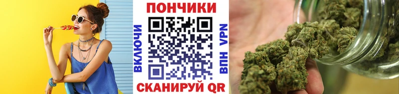 купить  сайты  Пошехонье  Бошки марихуана сатива 